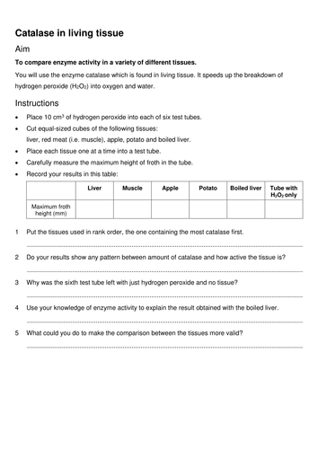 catalase and different tissues