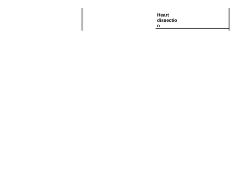 Heart dissection sheet