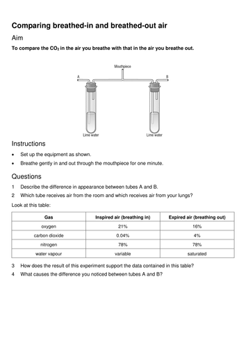 Huff and puff worksheet