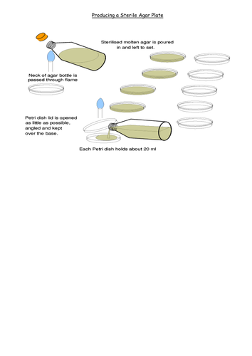 how to produce a sterile agar plate