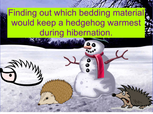 Keeping Hedgehogs warm