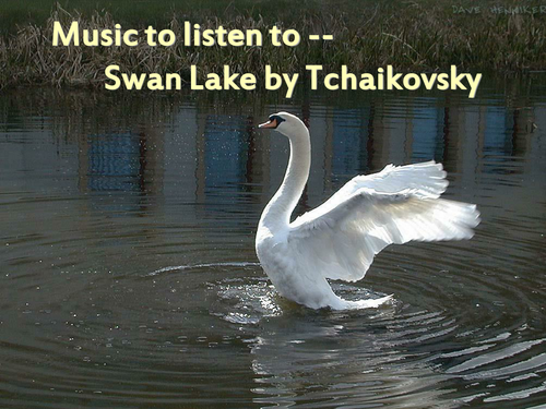 Well loved music 'Swan Lake '