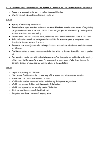 SY1 - Agencies of socialisation