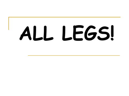 Starter - All Legs