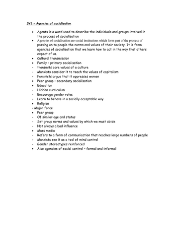 What are agencies of socialisation?