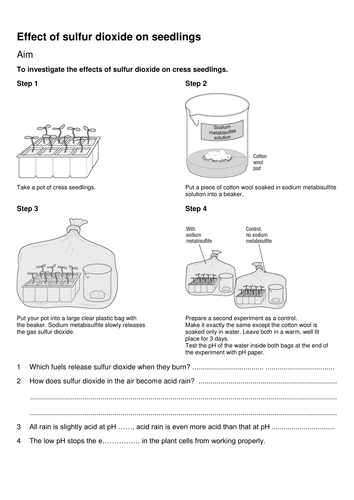 Sulphur dioxide seed experiment (Pollution)