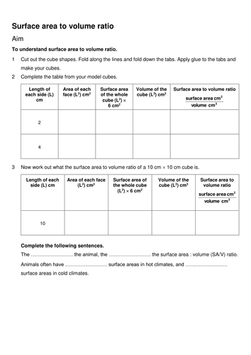 surface area to ratio worksheet