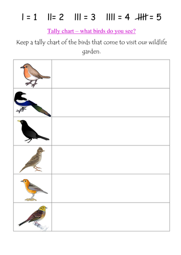 Bird watching tally chart
