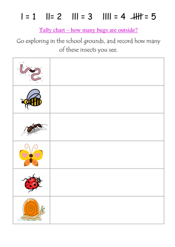 Making a tally chart on insects we see