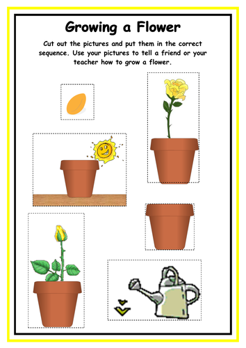 Growing a Flower Sequencing sheet by kmed2020 - Teaching Resources - Tes