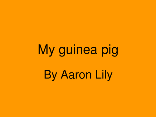 Young songwriters.  Guinea Pig
