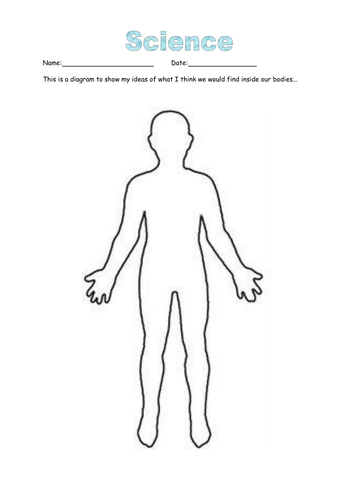 Human body outline - Yr 4 Moving and Growing | Teaching Resources