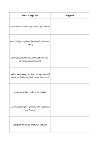 How Fossils Are Formed Teaching Resources