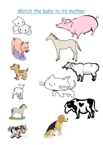 Match the mother animal to its babies worksheet | Teaching Resources