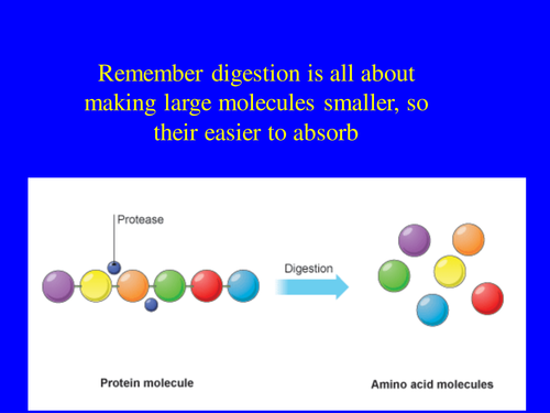 vitimans and minerals