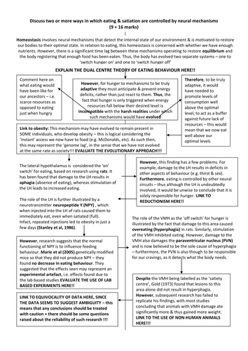 Neural Mechanisms Essay Plan