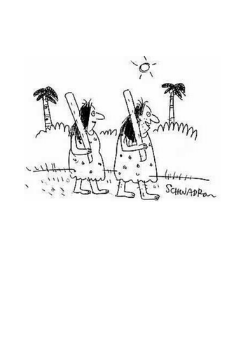 Food preferences group task