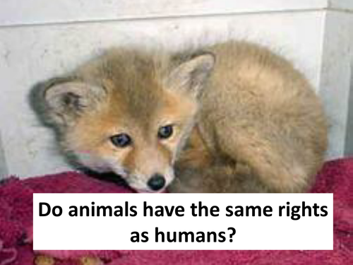 animals have rights
