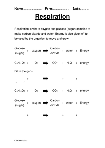 Respiration and Cats
