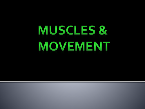 Muscles & Movement