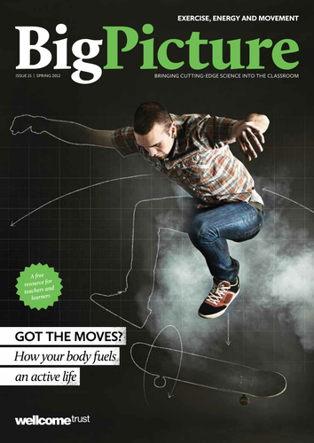 Big Picture: Exercise, Energy and Movement