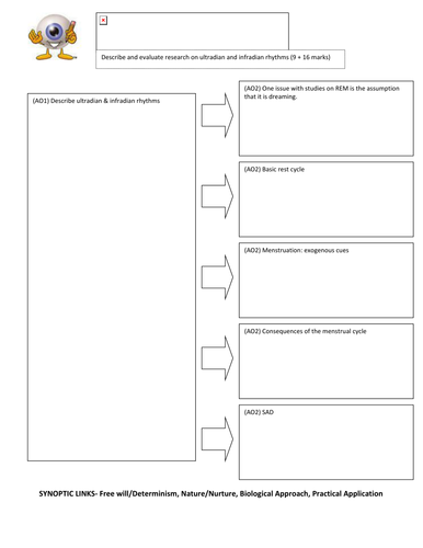 Infradian and Ultradian Homework