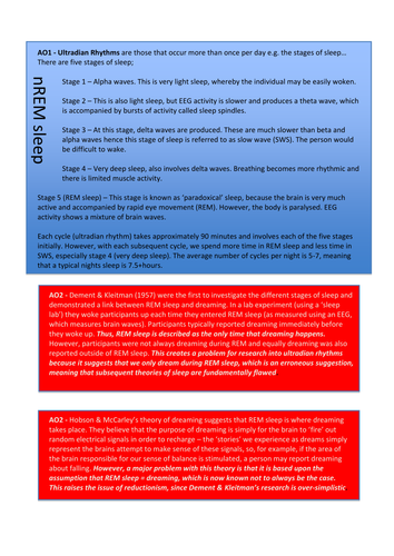 Ultradian Model Answer