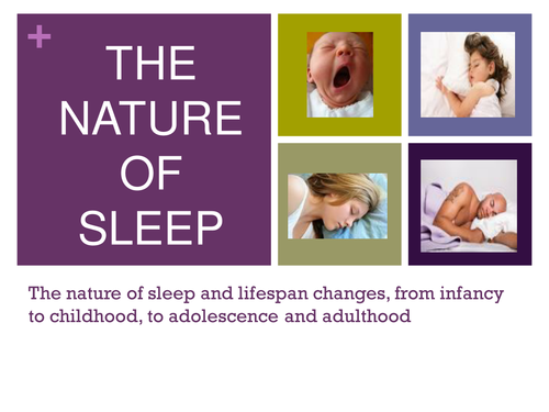 Power point on the nature of sleep