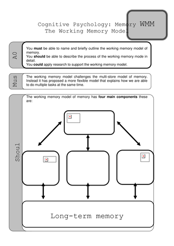 Working Memory Activity Teaching Resources