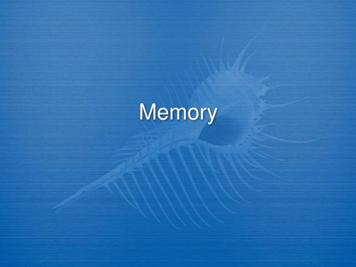 memory Introduction