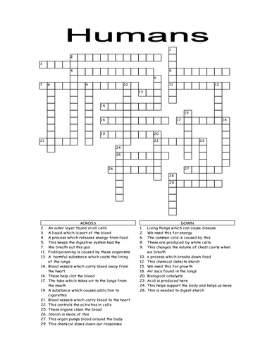 Humans crossword