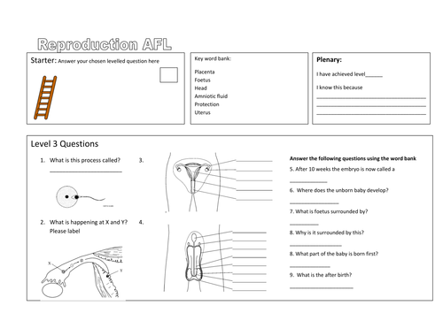 reproduction revision lower ability teaching resources