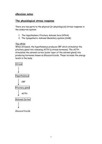 Revision on Bodily Responses to Stress