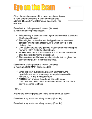 Eye on the Exam - Response to stress