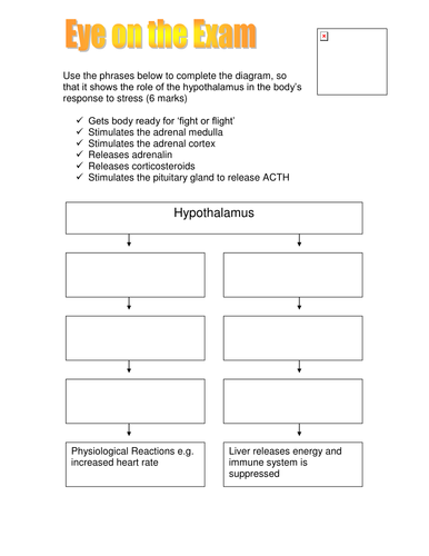 Flow Chart on the Bodily Response to Stress