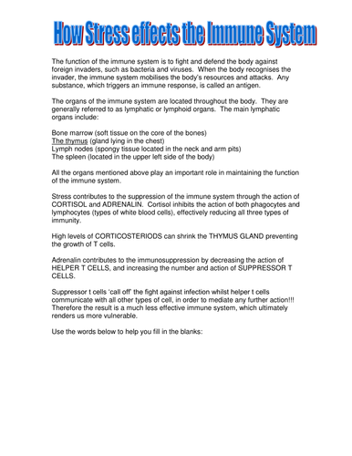 Stress and Immune System Model Answer