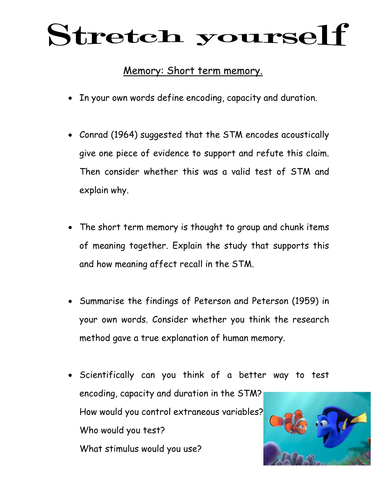 Memory Extension Task