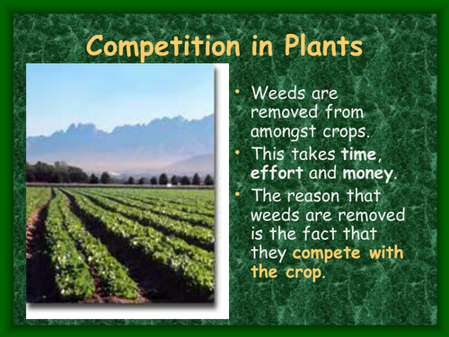 Competition in plants