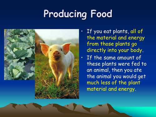 Efficient food production