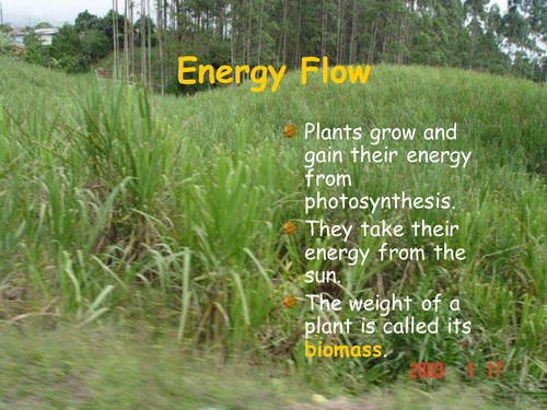 Energy flow ppt