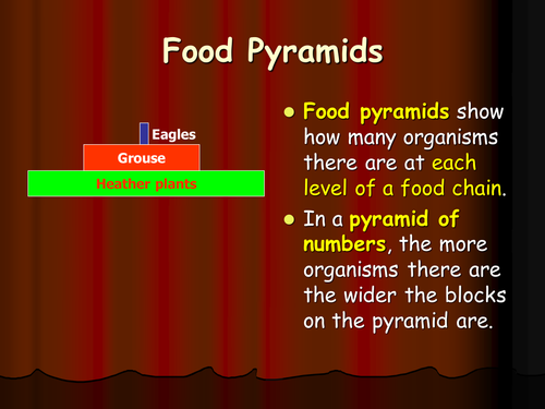 Food pyramids ppt