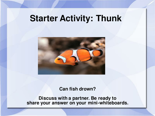 THUNK - Can fish drown?