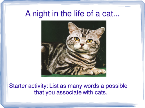 A night in the life of a cat: descriptive writing
