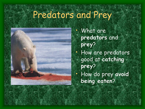 preadators ppt