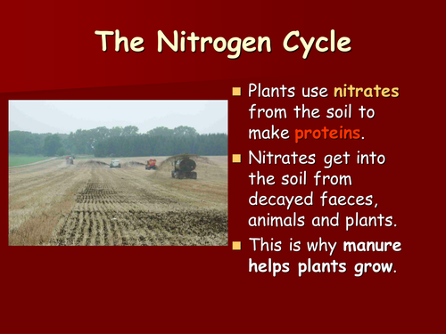 Nitrogen cycle