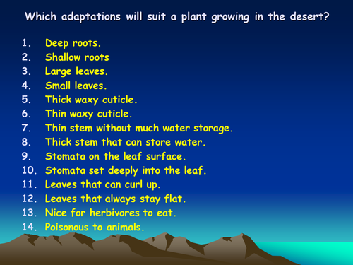 adaptations ppt