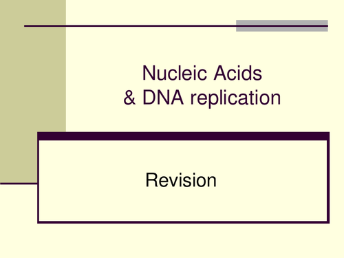 DNA structure and replication