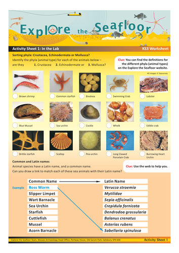 Explore the Seafloor Biology Teacher's Pack