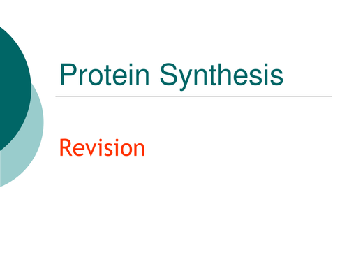 Protein synthesis