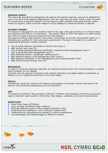 Animal Studies - Filtration